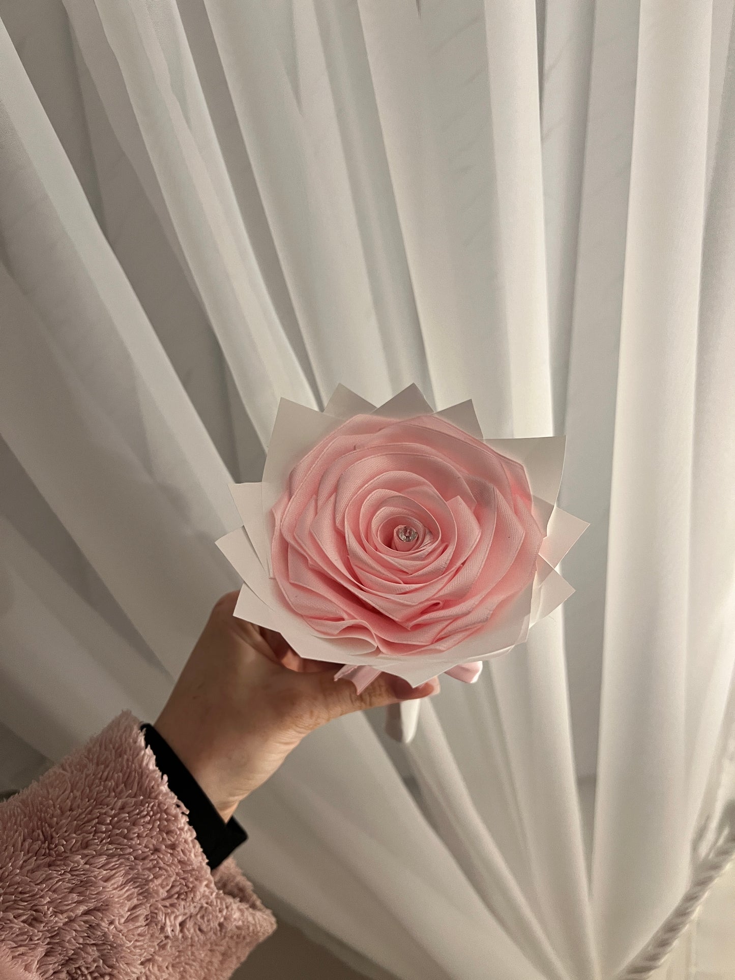 Baby pink single roses🌸