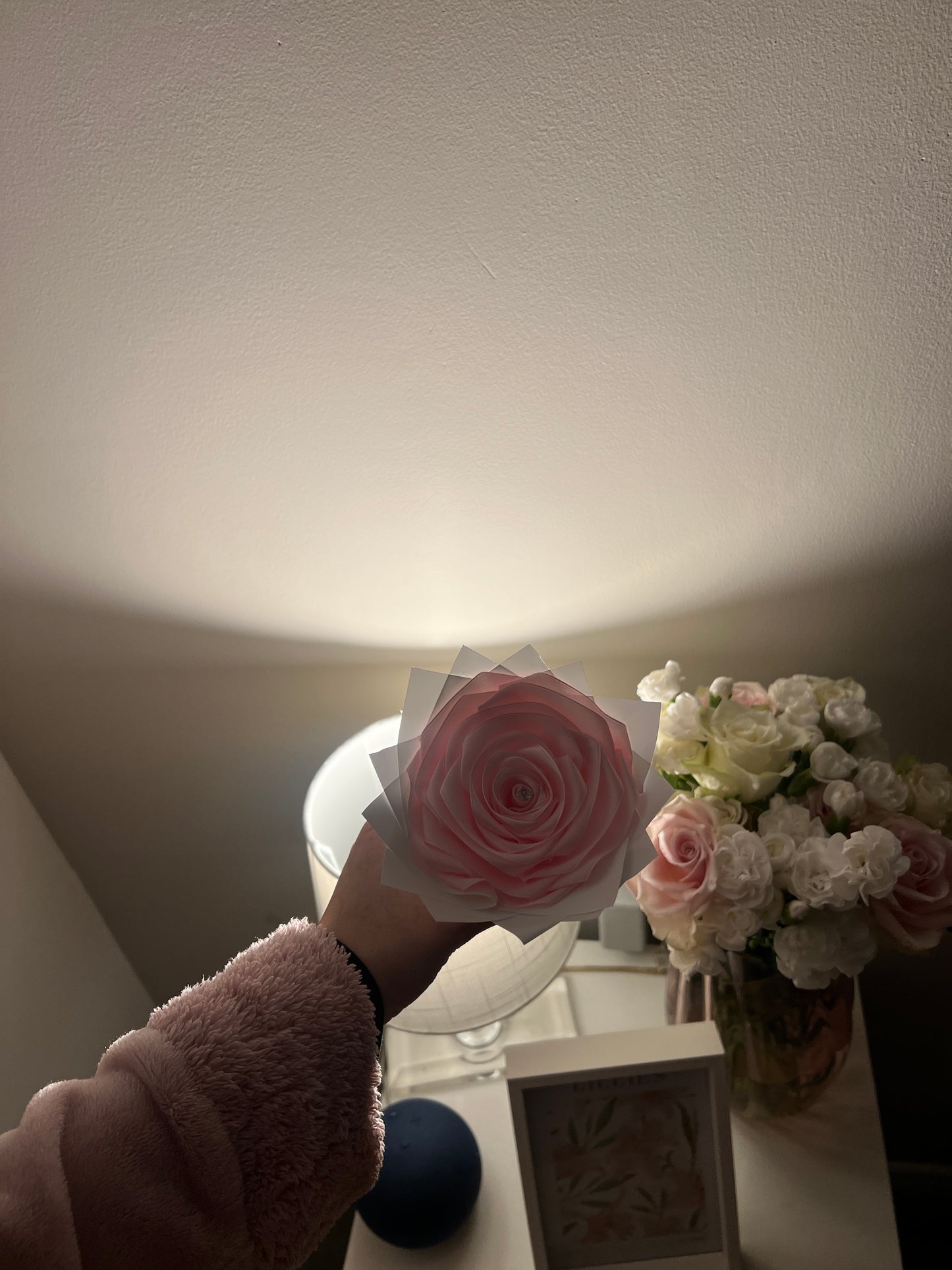 Baby pink single roses🌸
