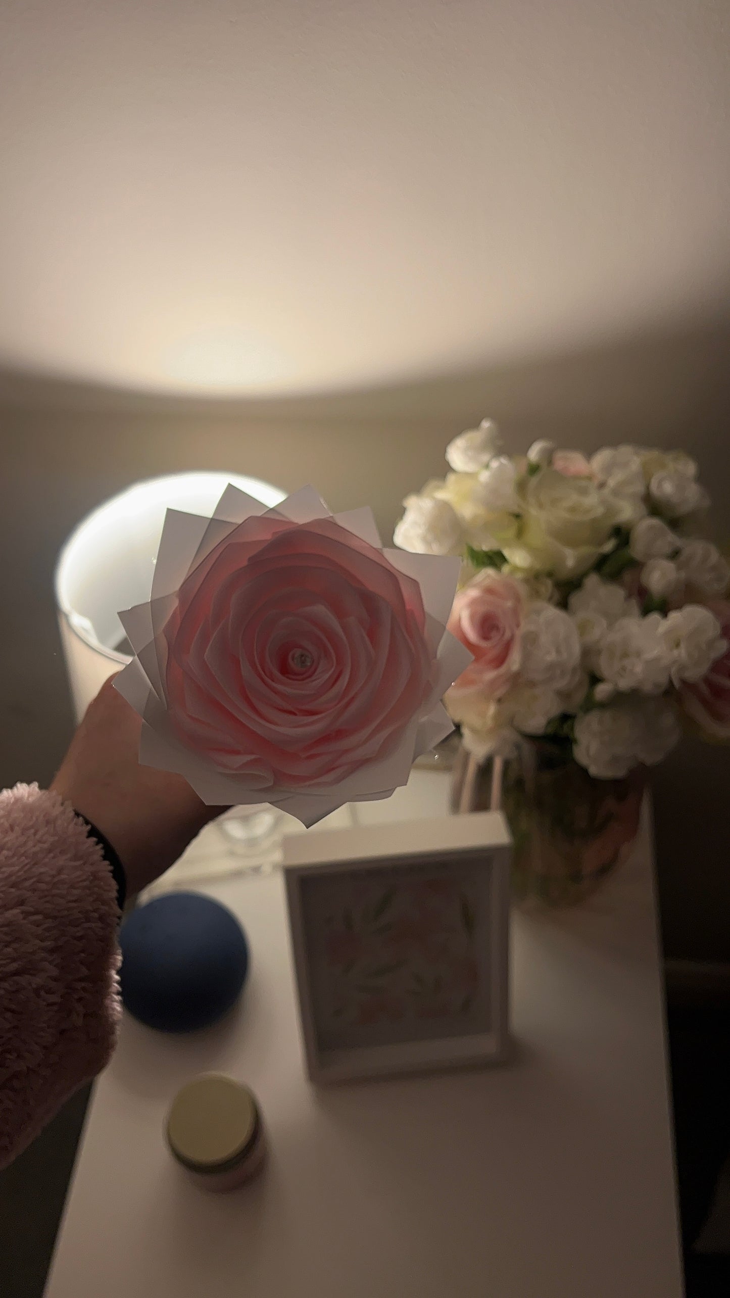 Baby pink single roses🌸