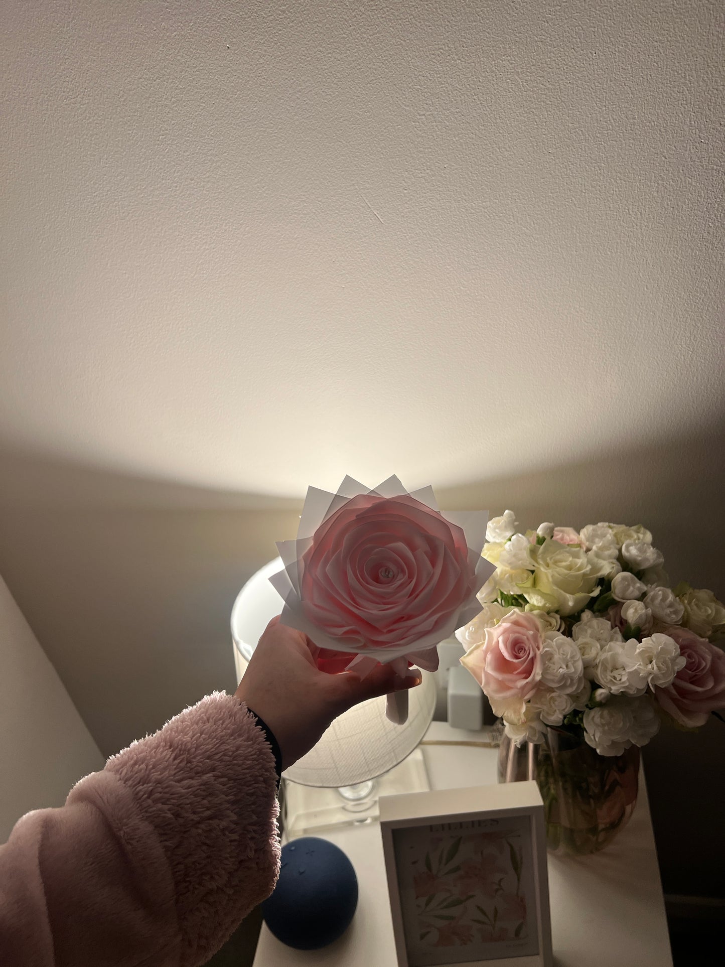 Baby pink single roses🌸